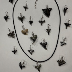 Hand made Shark Tooth wrapped Necklace.