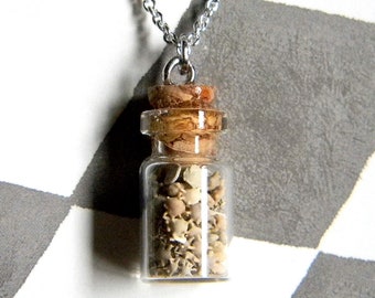 You'll Gasp When you See This "Beach Sand" Bottle Necklace Up Close! This Okinawan Island sand appears common at first glance, but it's not!