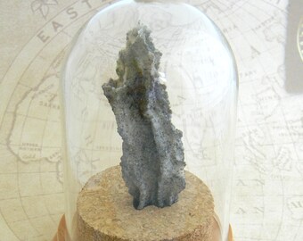 petrified lightning etsy