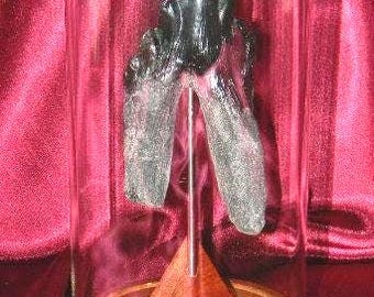 Campana de cristal gigante con forma de diente de basilosaurio para exhibición de escritorio - Réplica fundida de diente de aqueoceto extinto - Cúpula de cristal personalizada con forma de diente de zeuglodon