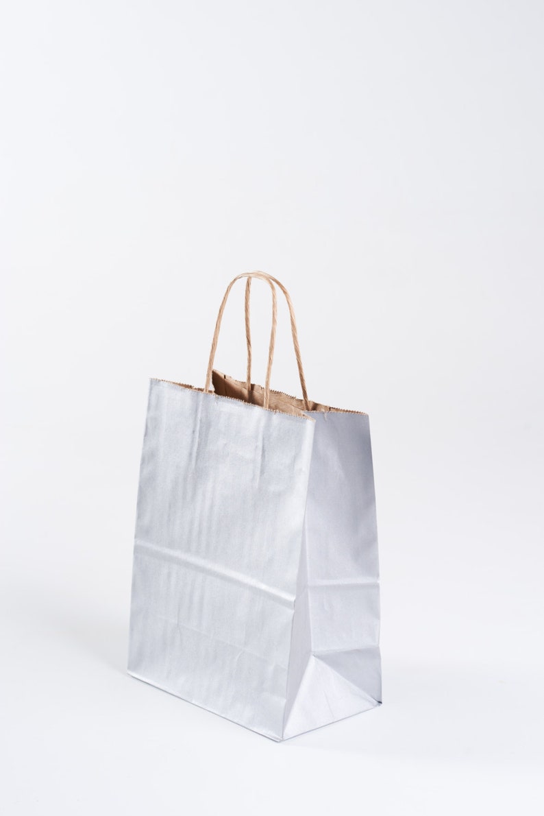 20 Metallic Silver Gift Bags With Handles Size Cub for Etsy