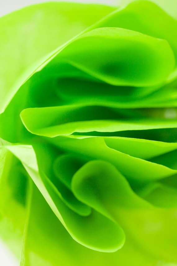 Lime Green Tissue Paper 24 Sheets Apple Green Tissue Paper Bright Green  Tissue Paper Sheets Chartreuse Green 