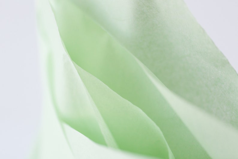 Willow Green Tissue Paper Bulk 24 Sheets Dusty Green Tissue Paper Willow Pistachio Celadon Tissue Paper image 3