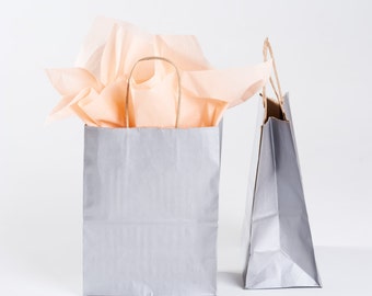 5 Silver Gift Bags with Handles - Kraft Paper and Metallic Silver Ink