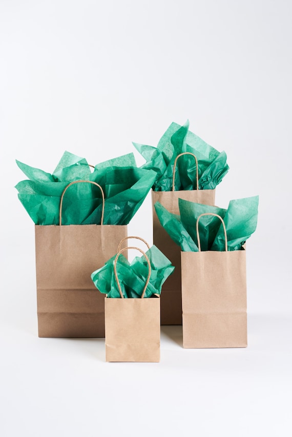 Mua bagmad Plain Medium Paper Kraft Gift Bags with Handles Bulk, Brown,  Sacks for Craft Grocery Shopping Retail Birthday Party Favors Wedding , 100  Pack 8x4.75x10 inch trên Amazon Mỹ chính hãng