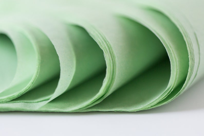 Willow Green Tissue Paper Bulk 24 Sheets Dusty Green Tissue Paper Willow Pistachio Celadon Tissue Paper image 4