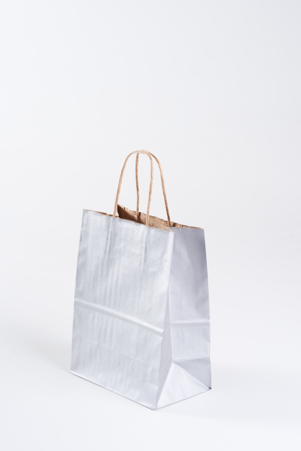 50 Silver Gift Bags With Handles for Wedding Guests Etsy