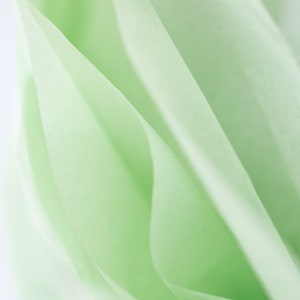 Willow Green Tissue Paper Bulk 24 Sheets Dusty Green Tissue Paper Willow Pistachio Celadon Tissue Paper image 5