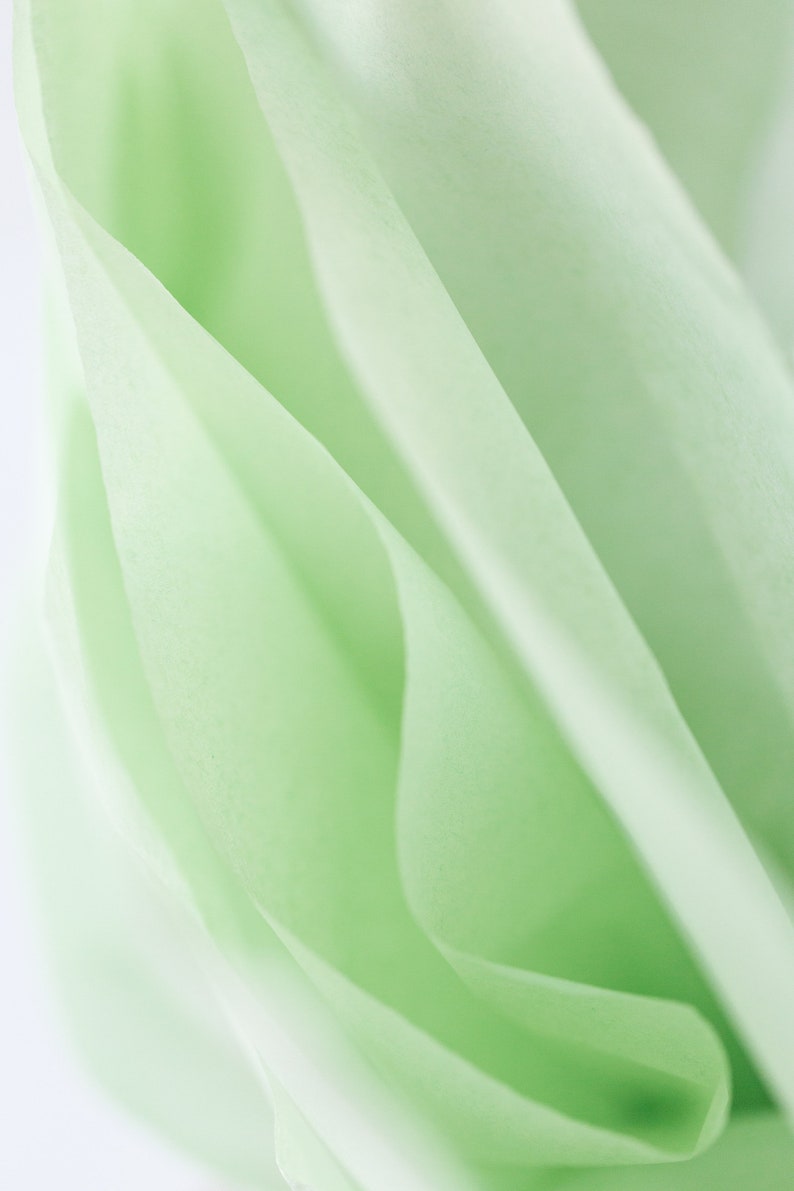 Willow Green Tissue Paper Bulk 24 Sheets Dusty Green Tissue Paper Willow Pistachio Celadon Tissue Paper image 5