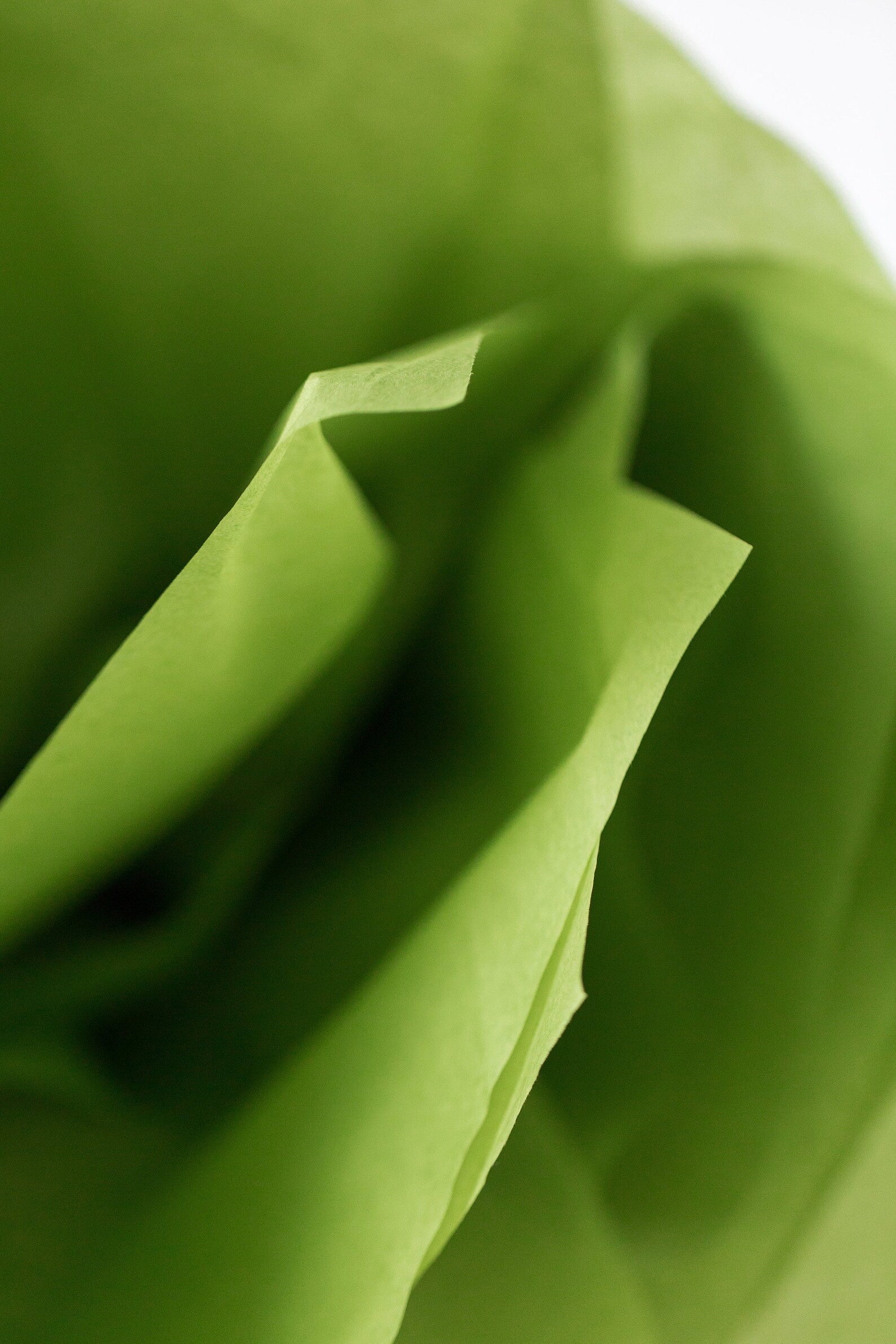 Aloe Tissue Paper Bulk 24 Sheets Sage Green Tissue Paper Etsy