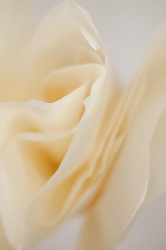 Cream Tissue Paper 24 Sheets Bulk Ivory Tissue Paper French Vanilla