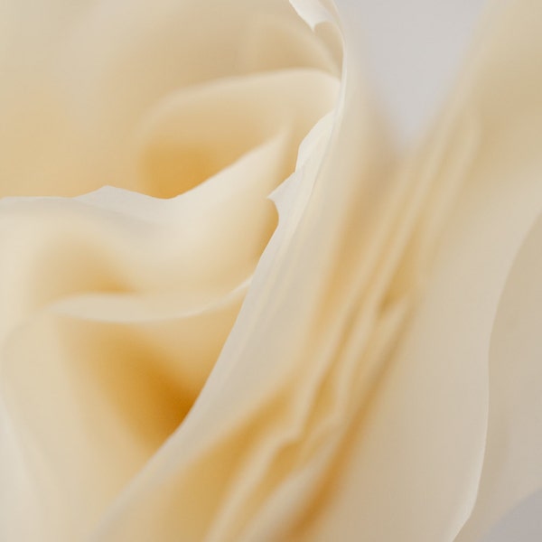Cream Tissue Paper 24 Sheets Bulk | Ivory Tissue Paper | French Vanilla Tissue Paper | Off White Tissue Paper | Cream Packaging Supplies