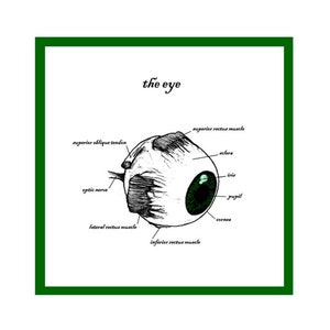 La carte de voeux pour l'oeil