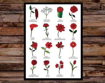 Identification de fleurs d'amour rouges et impression de signification symbolique - tableau d'art mural - impression d'art de fleurs florales - sans cadre