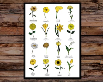 Identification de fleurs jaunes et impression de signification symbolique - tableau d'art mural - impression d'art de fleurs florales - sans cadre