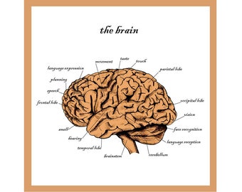 The Brain Greetings Card / Education / Graduation / Neurology Art Card / Neuroscience Card / Brain Surgeon / Science Art