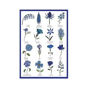 The Language of Blue Flowers Identification Chart Symbolism Botany Study Science Flower Art image 1