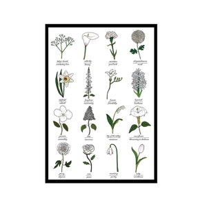 Le langage des fleurs blanches - carte d'identité - symbolisme - étude de la botanique - science - art floral - carte de voeux - carte d'art