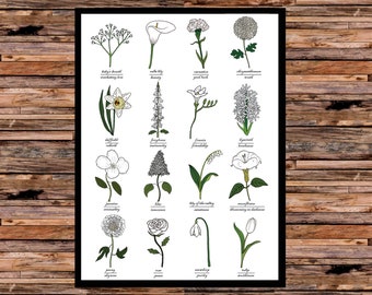 Impression de fleurs blanches - carte d'identification - symbolisme - carte d'art mural - impression d'art de fleurs florales - langage des fleurs - sans cadre