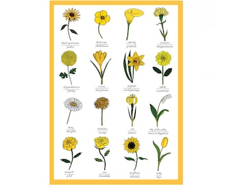 Le langage des fleurs jaunes - Identification de la fleur - Étude de jardin botanique - Science - Impression de carte de voeux art floral