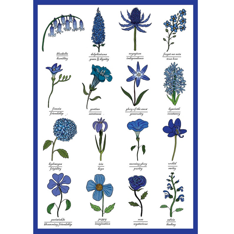 The Language of Blue Flowers Identification Chart Symbolism Botany Study Science Flower Art image 2