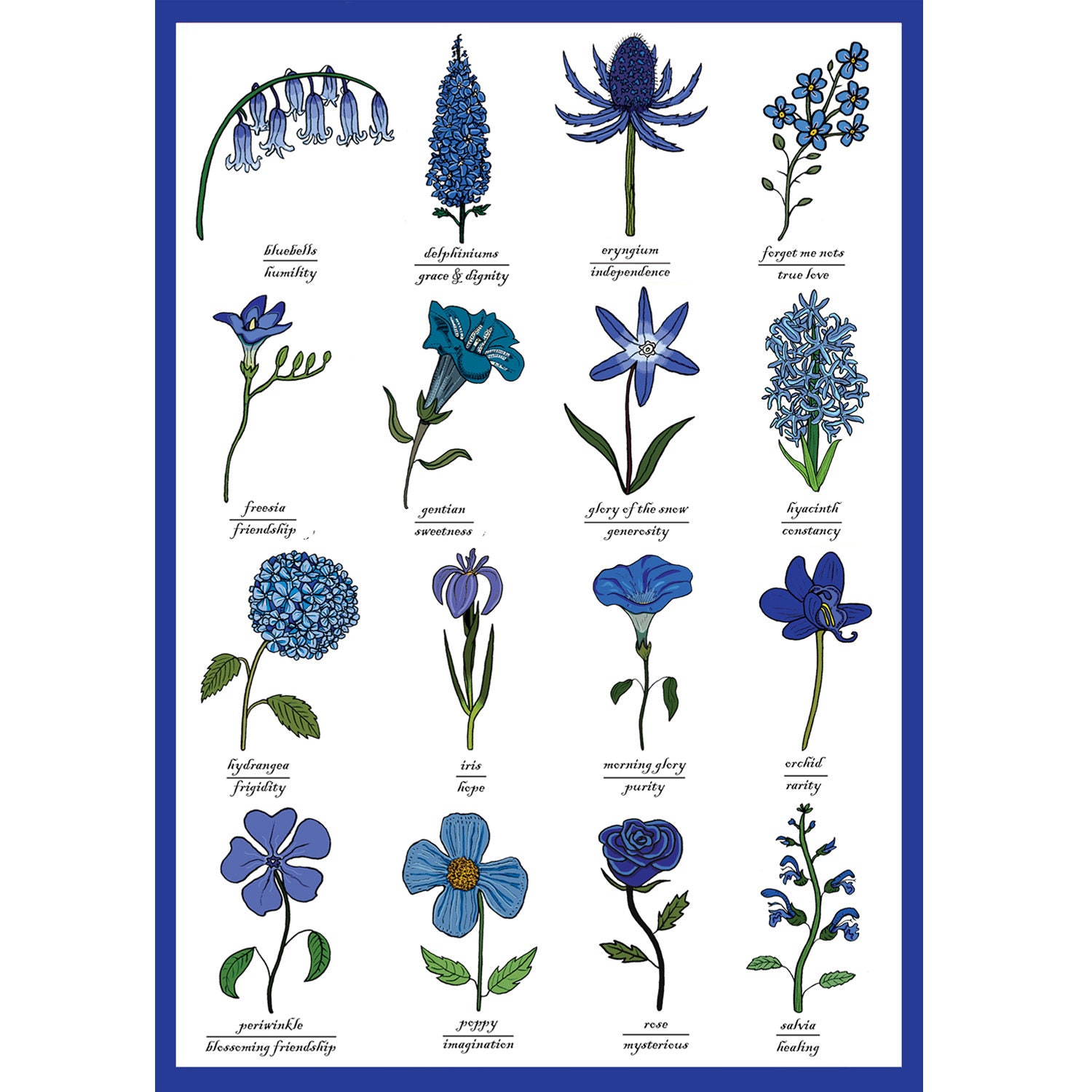 The Language Of Blue Flowers Identification Chart Symbolism Botany ...