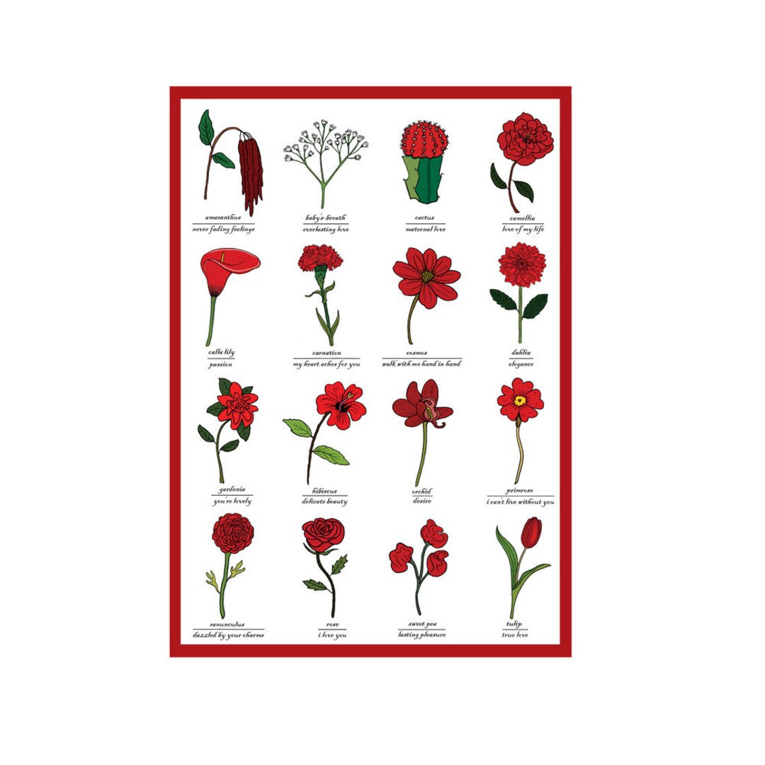 Flowers of Love Valentines Day Greetings Card Red Flowers Symbols of