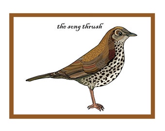 Interactive Song Thrush Songbird Greetings Card - Garden Bird Card - British Countryside & Wildlife - QR Code Animation - New