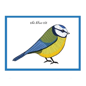Cartão interativo de saudações de pássaro canoro chapim-azul - Cartão de pássaro de jardim - Campo e vida selvagem britânicos - Animação de código QR - Novo