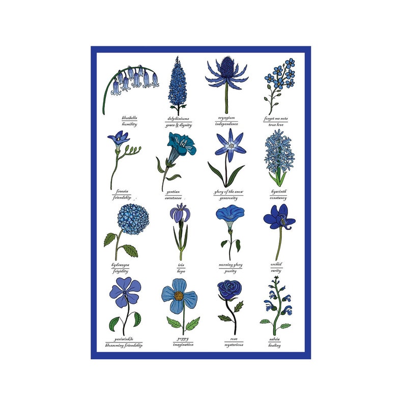 The Language of Blue Flowers Identification Chart Symbolism Botany Study Science Flower Art image 1
