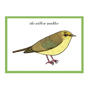 Cartão interativo de cumprimentos de pássaros canoros Willow Warbler - Cartão de pássaros de jardim - Campo britânico e vida selvagem - Animação de código QR - Novo