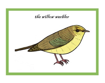 Interactive Willow Warbler Songbird Greetings Card - Garden Bird Card - British Countryside & Wildlife - QR Code Animation - New