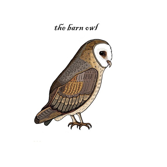The Barn Owl Greetings Card Bird Art Nature Art Owl Art Etsy