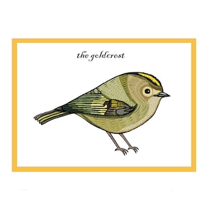 Cartão interativo de saudações de pássaros canoros Goldcrest - Cartão de pássaros de jardim - Campo e vida selvagem britânicos - Animação de código QR - Novo