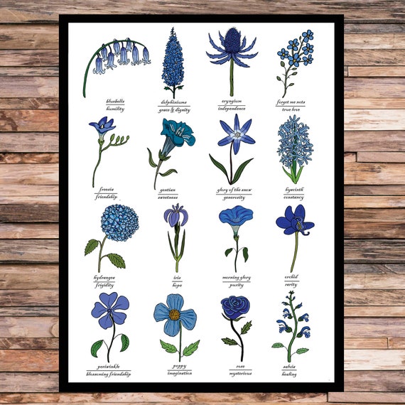 Flower Identification Chart