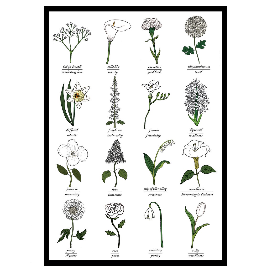 The Language of White Flowers Identification Chart Symbolism Botany