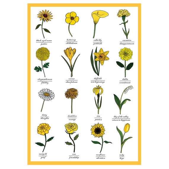 Yellow flowers online