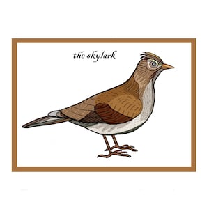 Carte de voeux interactive alouette des champs pour oiseaux chanteurs - carte oiseaux de jardin - campagne britannique et vie sauvage - animation QR code - nouveauté