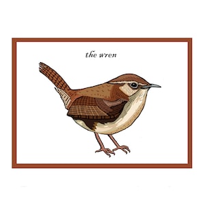 Cartão interativo de cumprimentos de pássaros canoros Wren - Cartão de pássaros de jardim - Campo e vida selvagem britânicos - Animação de código QR - Novo