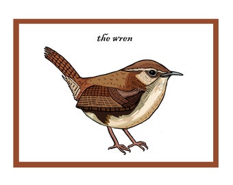 Interaktive Zaunkönig-Singvogel-Karte - Britische Wildtiere, QR-Animation - Neu