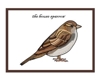 Interactive House Sparrow Songbird Greetings Card - Garden Bird Card - British Countryside & Wildlife - QR Code Animation - New