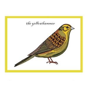 Cartão interativo de cumprimentos de pássaros canoros Yellowhammer - Cartão de pássaros de jardim - Campo e vida selvagem britânicos - Animação de código QR - Novo