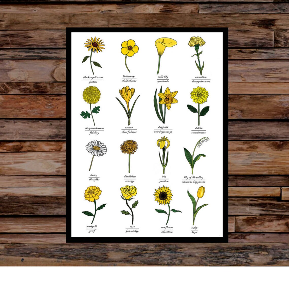 Yellow Flowers Identification & Symbolic Meaning Print Wall Art Chart