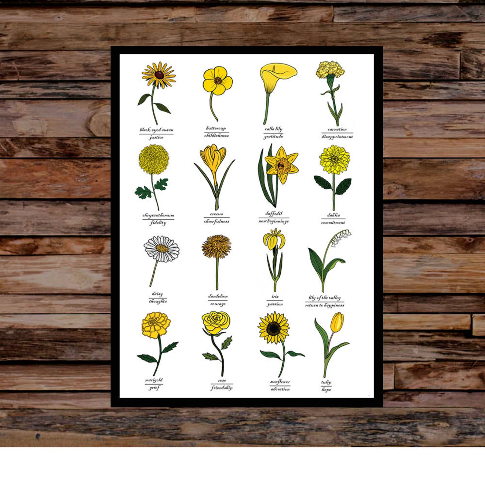 Yellow Flowers Identification & Symbolic Meaning Print Wall Art Chart