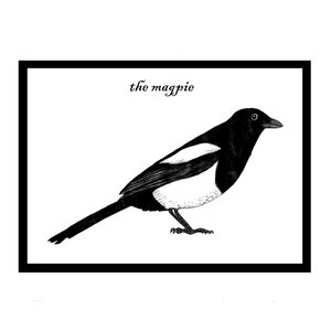 Carte interactive de voeux d'oiseau pie - carte d'art d'oiseau de jardin - campagne et vie sauvage - avec animation - *Nouveauté*
