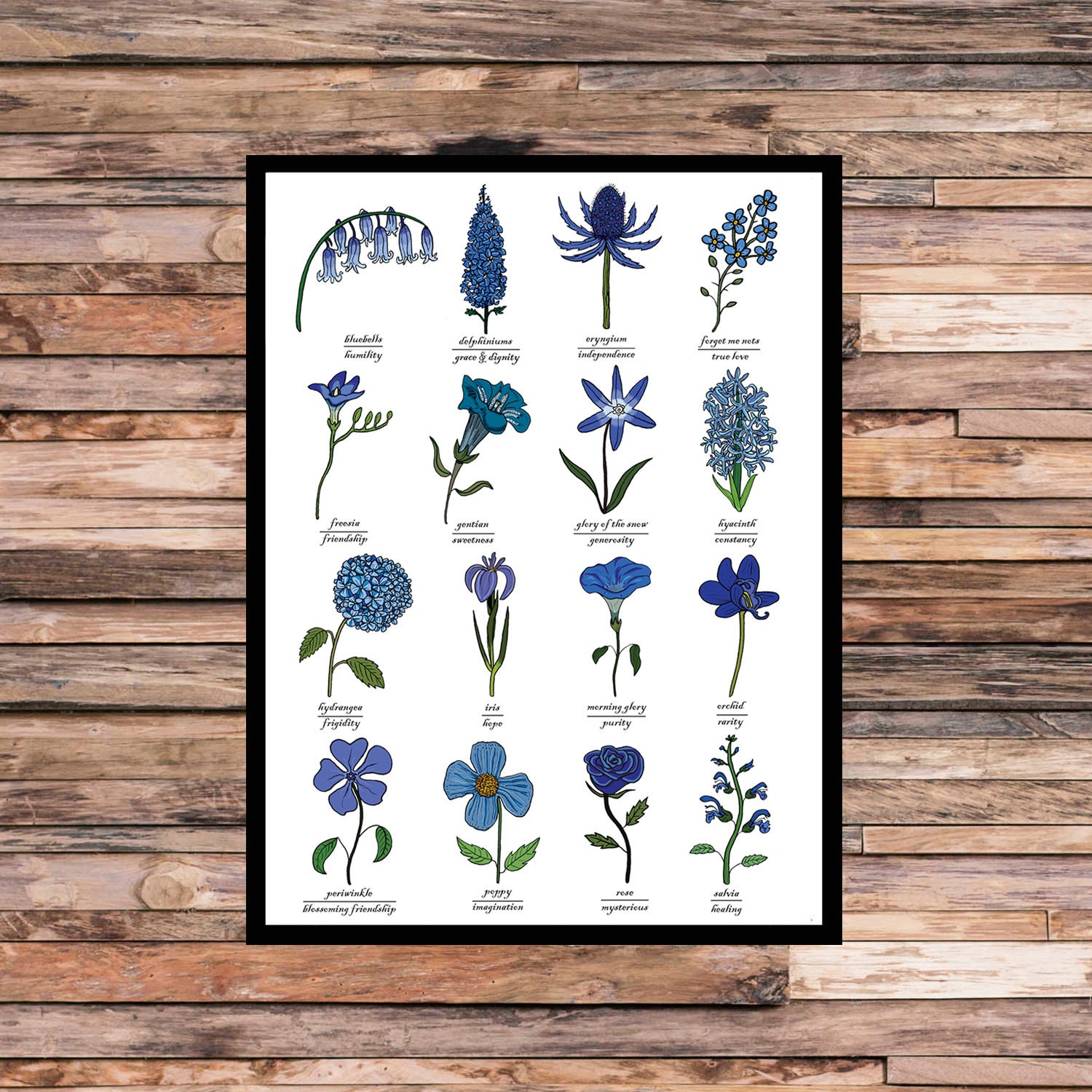 Blue Flowers Print Identification Chart Symbolism Wall Etsy
