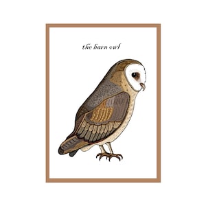 The Barn Owl Greetings Card - Bird Art - Nature Art - Owl Art - Interactive QR Code - Animation & Sound - NOUVEAU