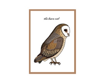 The Barn Owl Greetings Card - Bird Art - Nature Art - Owl Art - Interactive QR Code - Animation & Sound - NOUVEAU