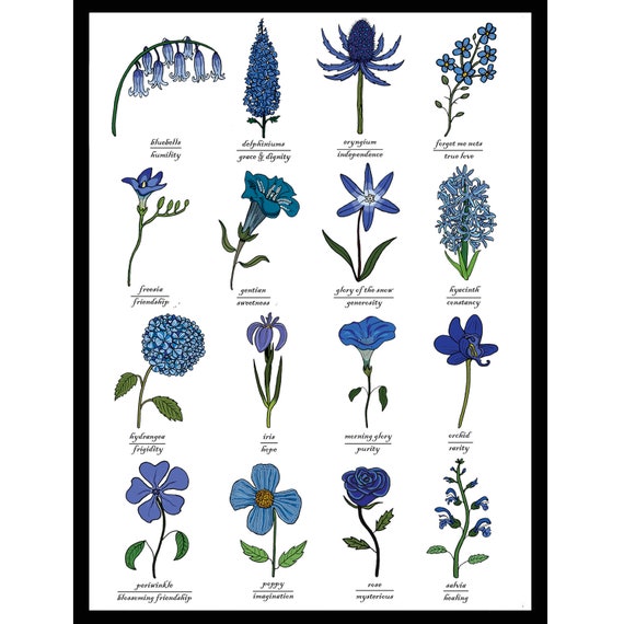 Flower Identification Chart