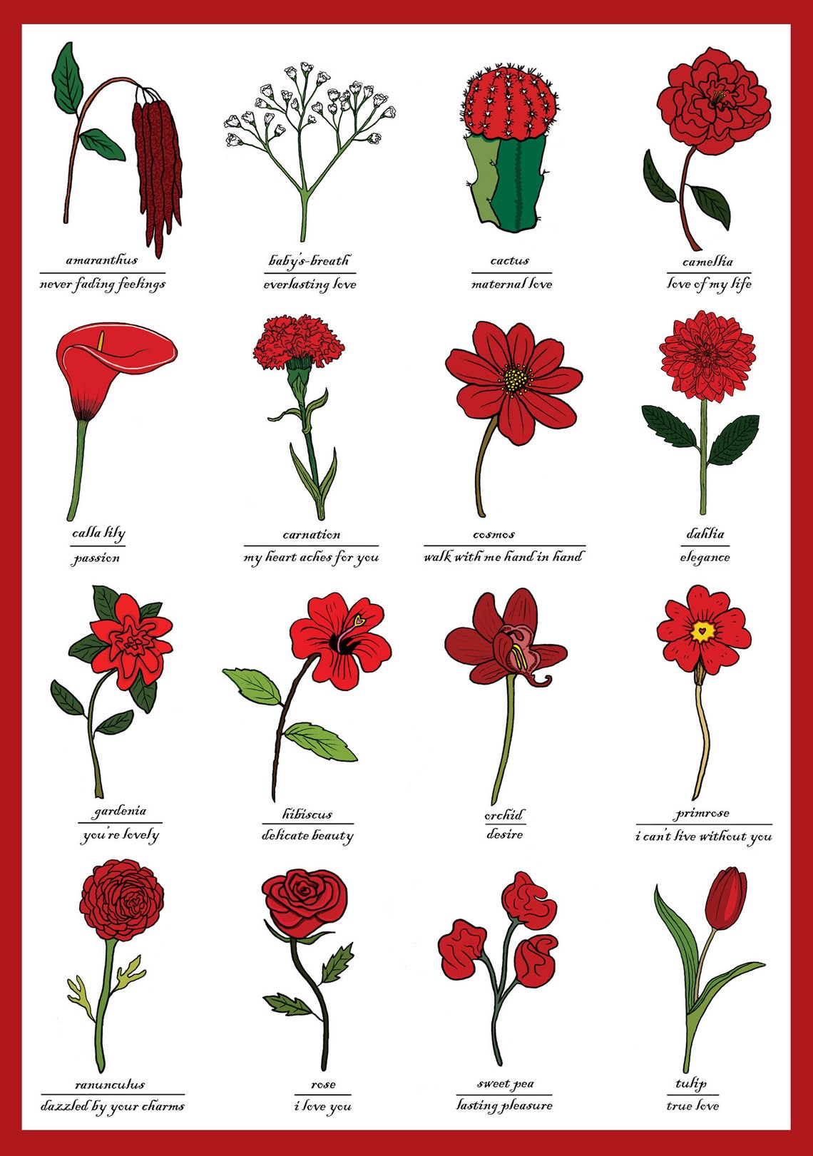 Flowers of Love Valentines Day Greetings Card Red Flowers Symbols of Love Relationship